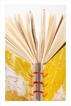 Eco Print Defrer
