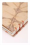 Eco Print Defter