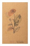 Flowers 04